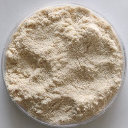 木粉91免费网站在线观看